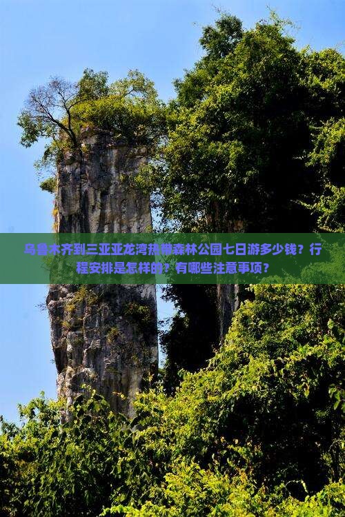 乌鲁木齐到三亚亚龙湾热带森林公园七日游多少钱？行程安排是怎样的？有哪些注意事项？