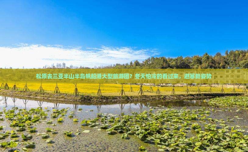 松原去三亚半山半岛帆船港大型旅游团？冬天怕冷的看过来，避寒新姿势