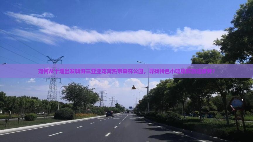 如何从十堰出发畅游三亚亚龙湾热带森林公园，寻找特色小吃缓解旅途疲劳？