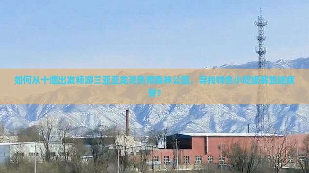 如何从十堰出发畅游三亚亚龙湾热带森林公园，寻找特色小吃缓解旅途疲劳？
