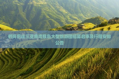 鹤岗前往三亚南湾猴岛大型旅游团招募启事及行程安排公告
