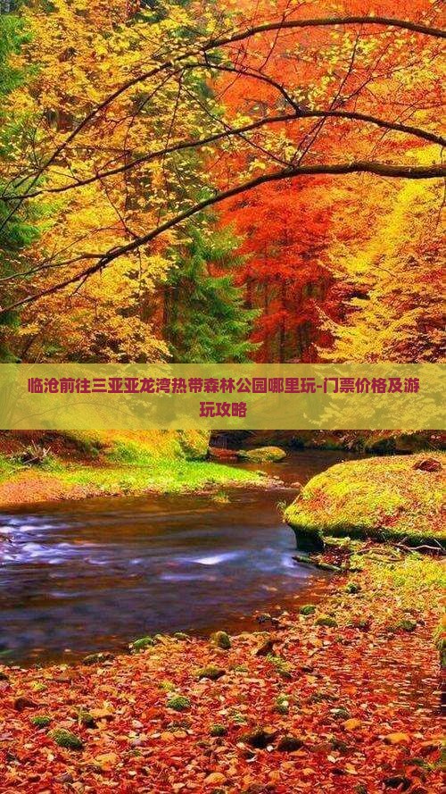 临沧前往三亚亚龙湾热带森林公园哪里玩-门票价格及游玩攻略