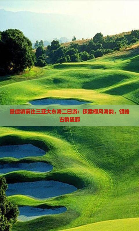 景德镇前往三亚大东海二日游：探索椰风海韵，领略古韵瓷都