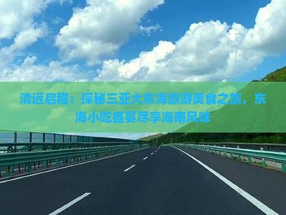 清远启程：探秘三亚大东海旅游美食之旅，东海小吃盛宴尽享海南风味