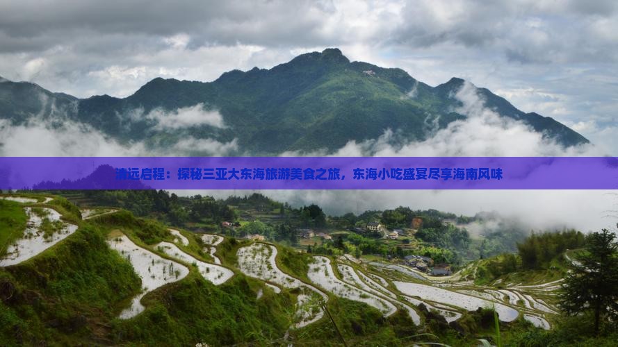 清远启程：探秘三亚大东海旅游美食之旅，东海小吃盛宴尽享海南风味