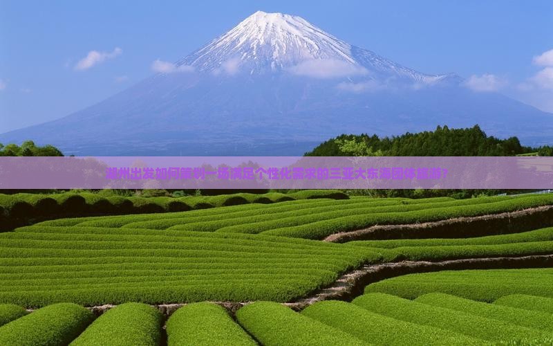 湖州出发如何策划一场满足个性化需求的三亚大东海团体旅游？