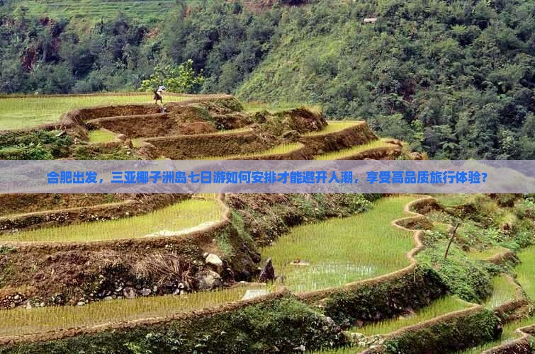合肥出发，三亚椰子洲岛七日游如何安排才能避开人潮，享受高品质旅行体验？