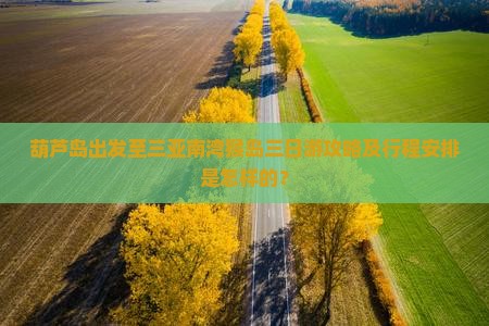 葫芦岛出发至三亚南湾猴岛三日游攻略及行程安排是怎样的？