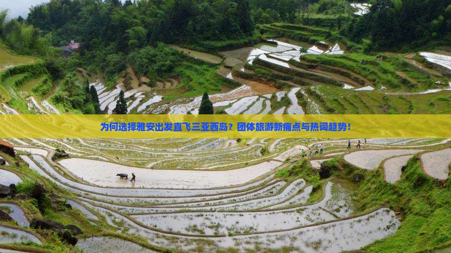 为何选择雅安出发直飞三亚西岛？团体旅游新痛点与热词趋势！