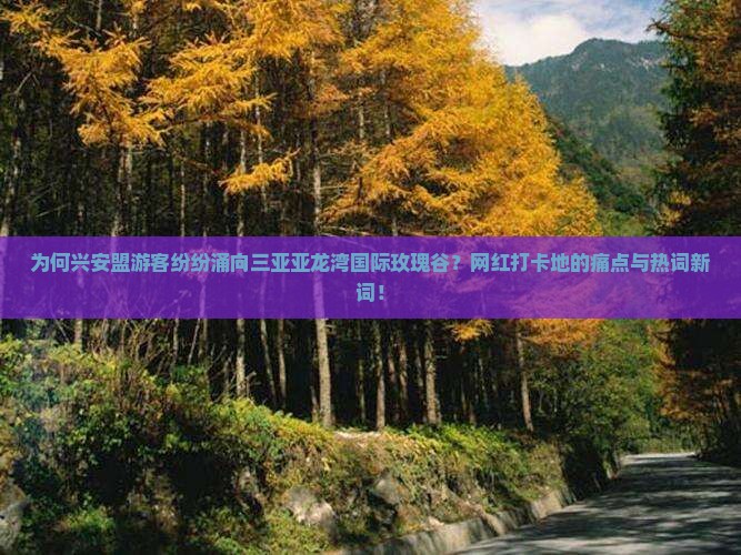 为何兴安盟游客纷纷涌向三亚亚龙湾国际玫瑰谷？网红打卡地的痛点与热词新词！