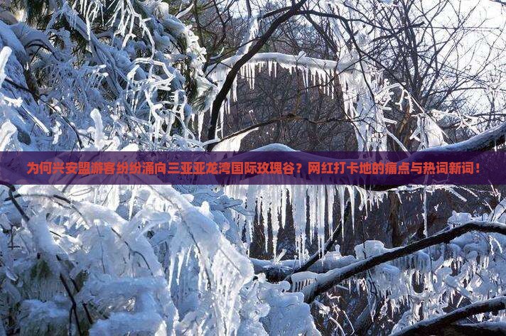 为何兴安盟游客纷纷涌向三亚亚龙湾国际玫瑰谷？网红打卡地的痛点与热词新词！