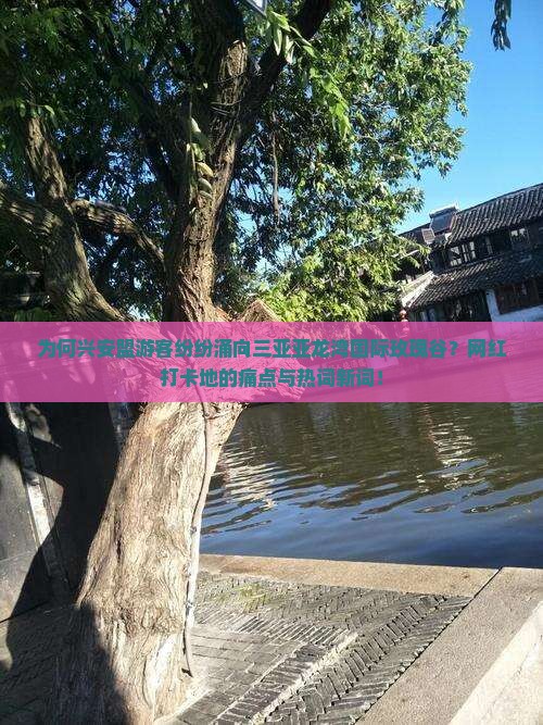 为何兴安盟游客纷纷涌向三亚亚龙湾国际玫瑰谷？网红打卡地的痛点与热词新词！