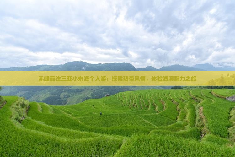 赤峰前往三亚小东海个人游：探索热带风情，体验海滨魅力之旅
