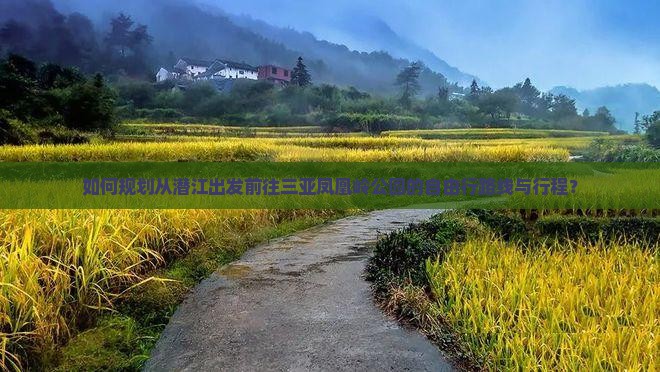 如何规划从潜江出发前往三亚凤凰岭公园的自由行路线与行程？