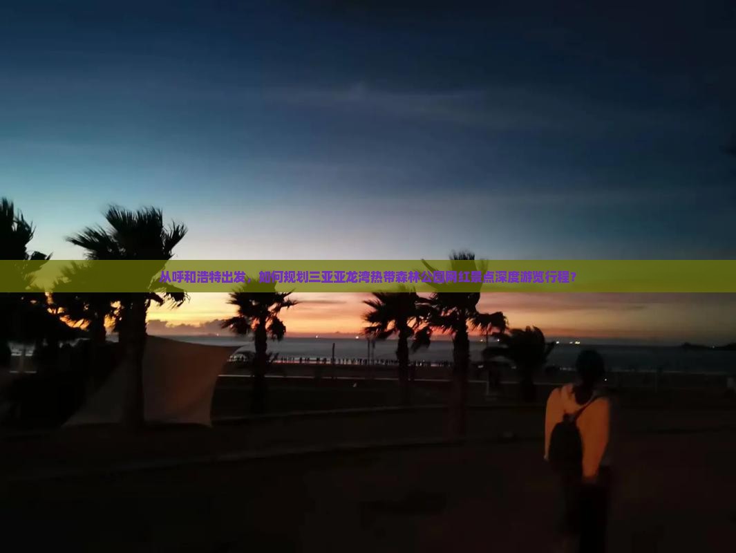 从呼和浩特出发，如何规划三亚亚龙湾热带森林公园网红景点深度游览行程？