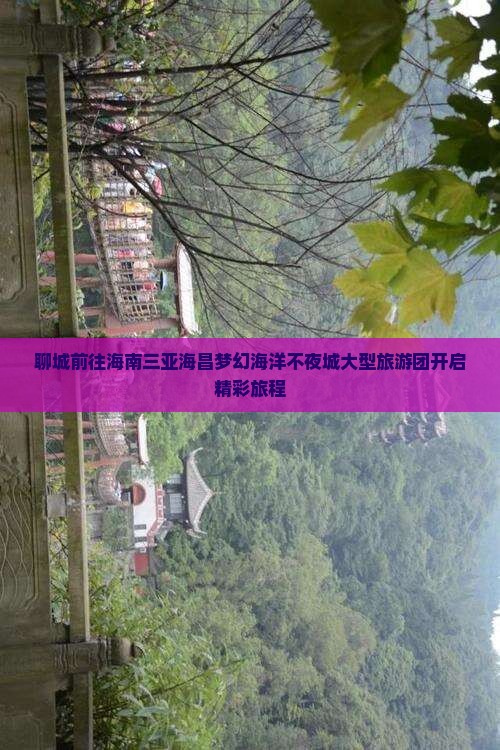 聊城前往海南三亚海昌梦幻海洋不夜城大型旅游团开启精彩旅程