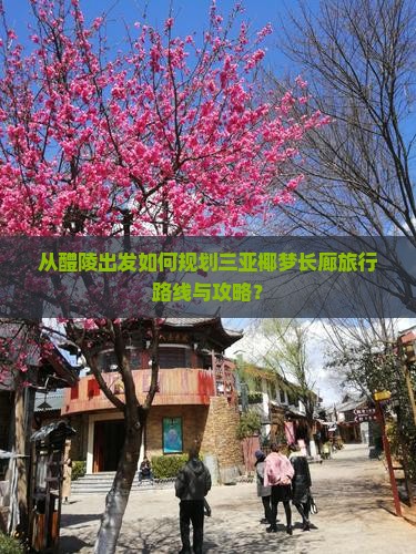 从醴陵出发如何规划三亚椰梦长廊旅行路线与攻略？