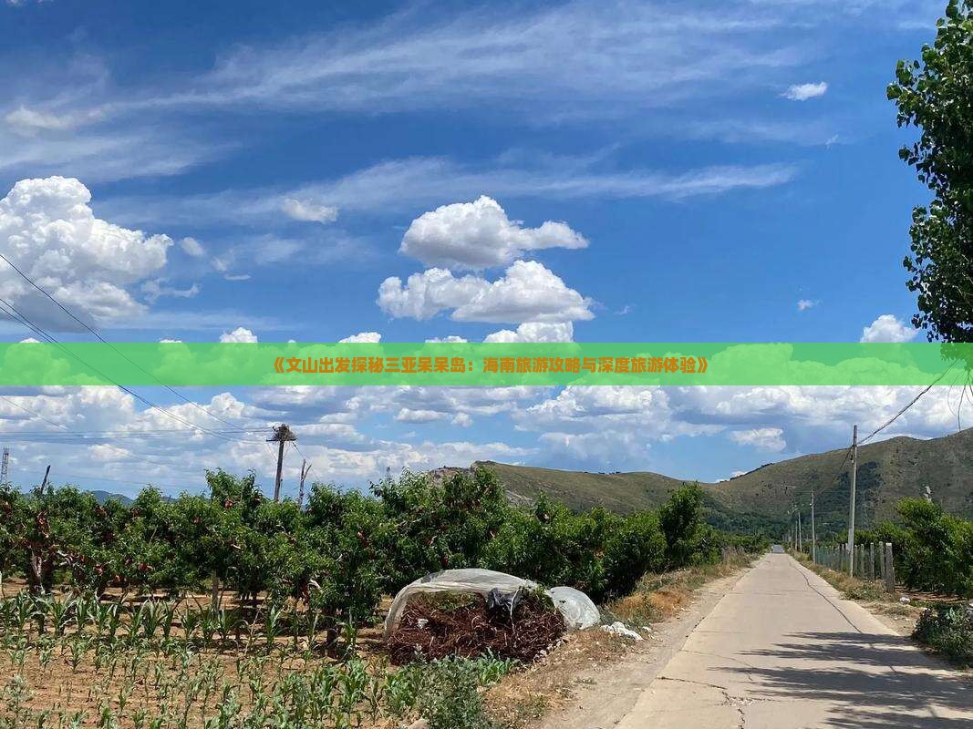 《文山出发探秘三亚呆呆岛：海南旅游攻略与深度旅游体验》