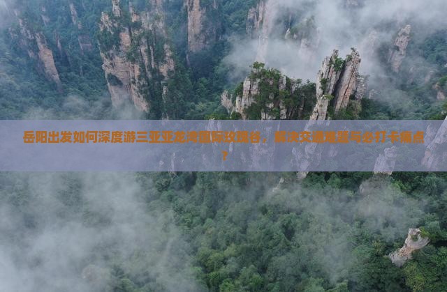岳阳出发如何深度游三亚亚龙湾国际玫瑰谷，解决交通难题与必打卡痛点？