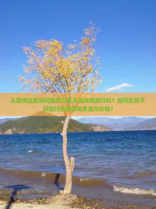 从随州出发如何选择三亚天涯海角旅行社？如何比较不同旅行社的服务质量与价格？