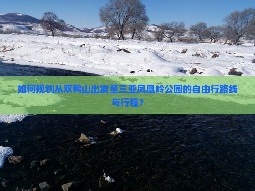 如何规划从双鸭山出发至三亚凤凰岭公园的自由行路线与行程？