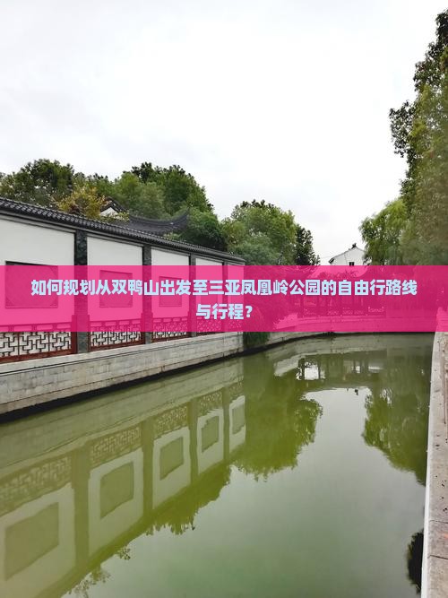 如何规划从双鸭山出发至三亚凤凰岭公园的自由行路线与行程？