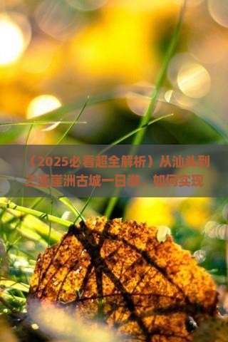 汕头出发三亚崖洲古城一日游