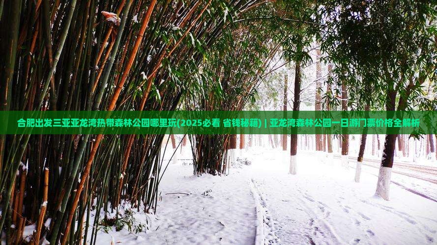 合肥出发三亚亚龙湾热带森林公园哪里玩