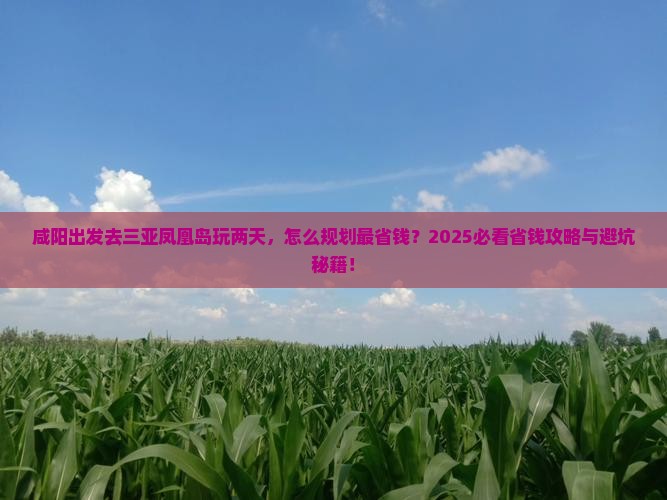 咸阳前往三亚凤凰岛二日游