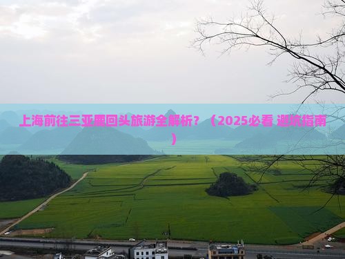 上海前往三亚鹿回头旅游