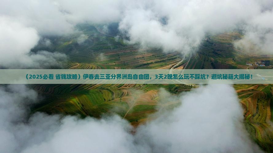 伊春去三亚分界洲岛自由团