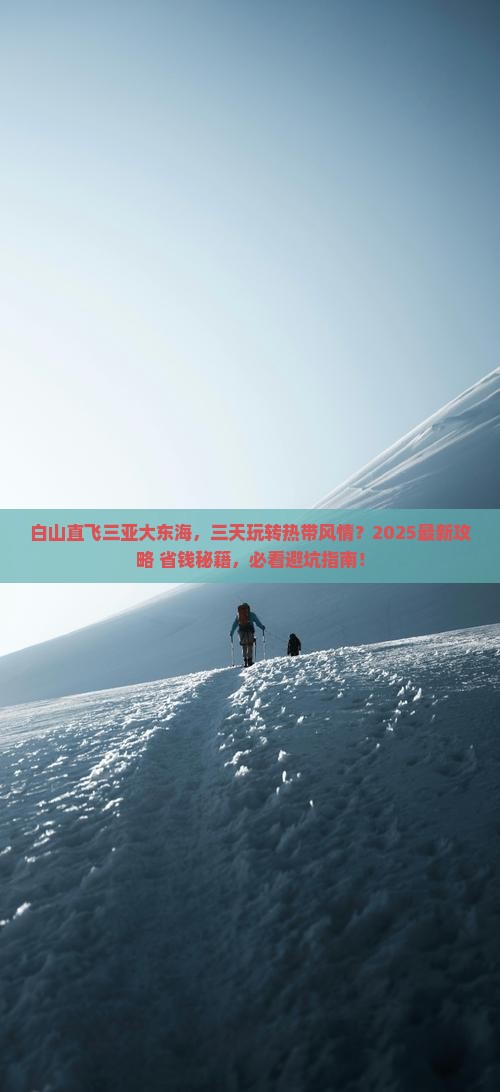 白山去三亚大东海三日游