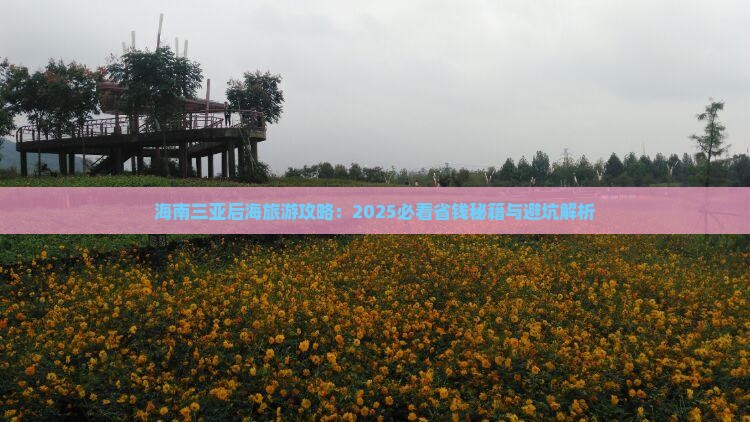 河源去三亚后海攻略