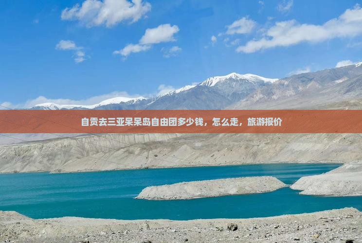 自贡去三亚呆呆岛自由团