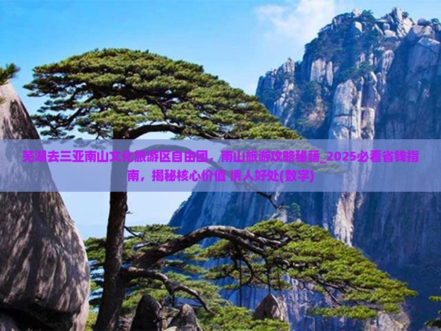 芜湖去三亚南山文化旅游区自由团