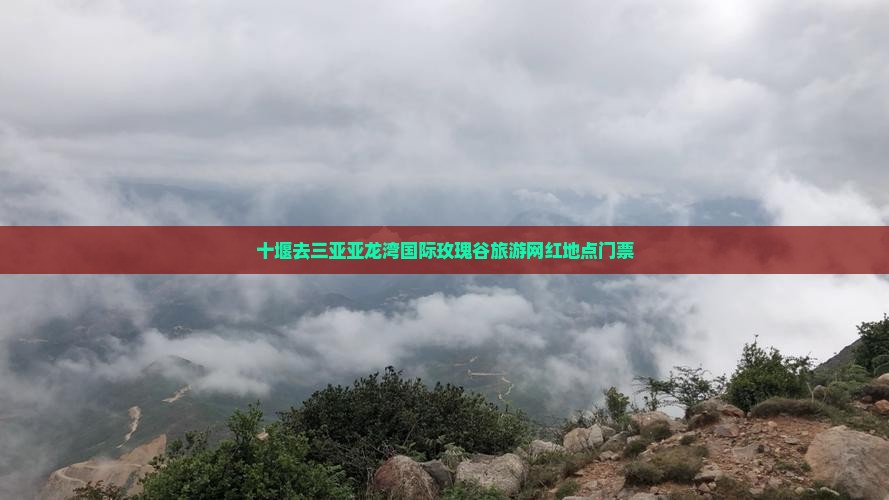 十堰去三亚亚龙湾国际玫瑰谷旅游网红地点