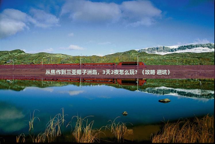 焦作出发三亚椰子洲岛自由行