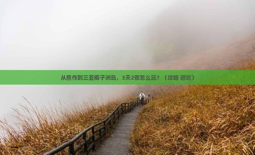 焦作出发三亚椰子洲岛自由行