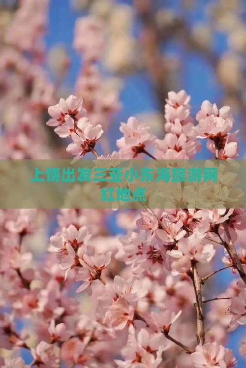 上饶出发三亚小东海旅游网红地点