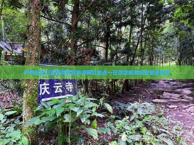 泸州出发三亚南湾猴岛旅游网红地点