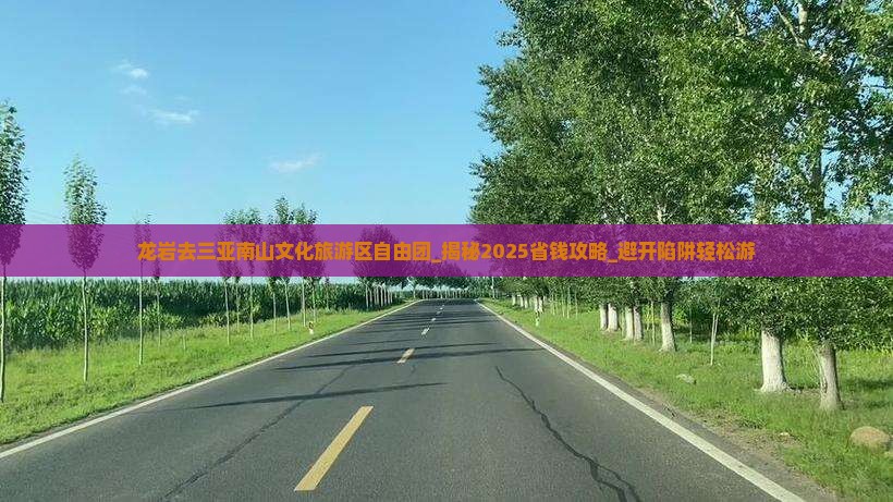 龙岩去三亚南山文化旅游区自由团
