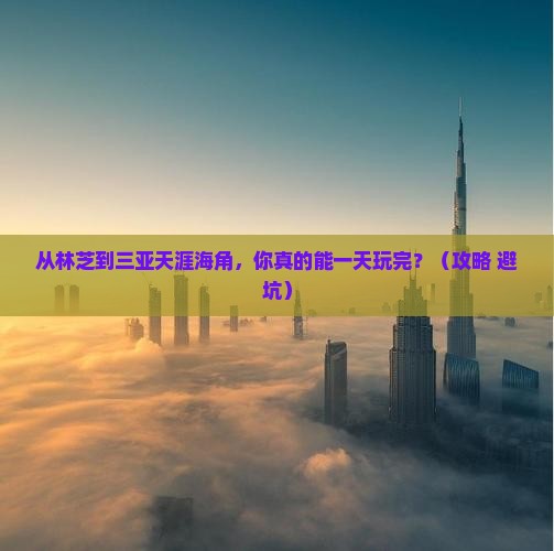 林芝去三亚天涯海角一日游