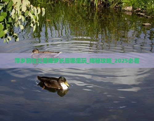 萍乡前往三亚椰梦长廊哪里玩