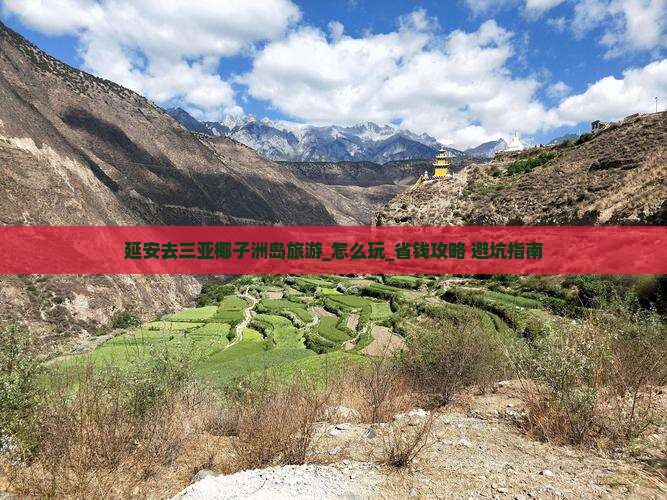延安去三亚椰子洲岛旅游