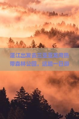 湛江前往三亚亚龙湾热带森林公园一日游