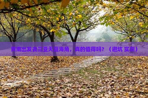 黄南前往三亚天涯海角个人游