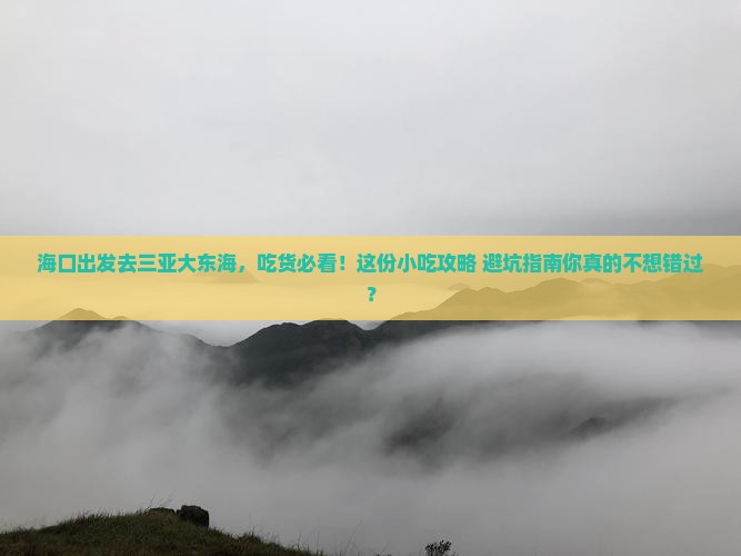 海口去三亚大东海旅游小吃