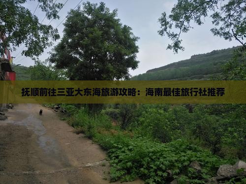 抚顺前往三亚大东海旅行社