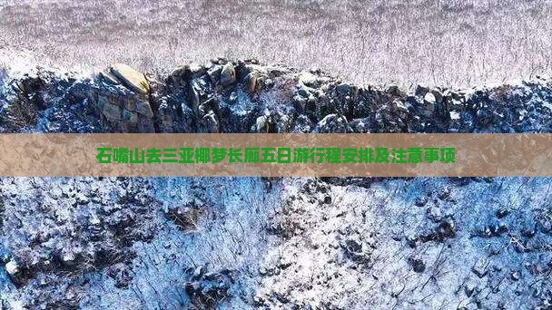 石嘴山去三亚椰梦长廊五日游