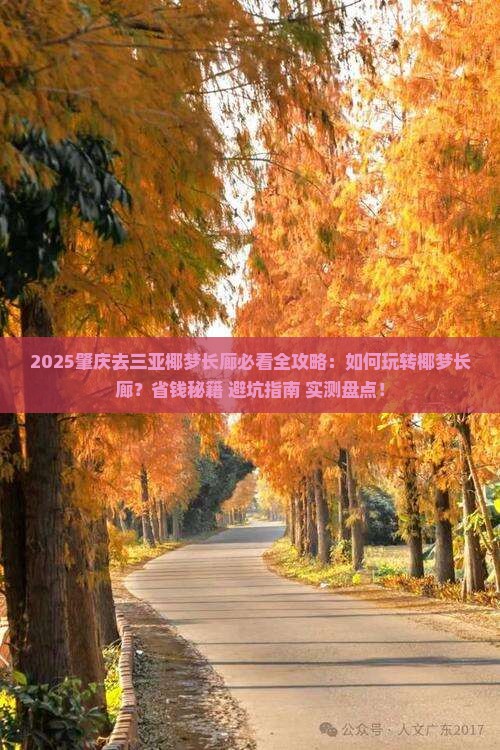 肇庆去三亚椰梦长廊哪里玩